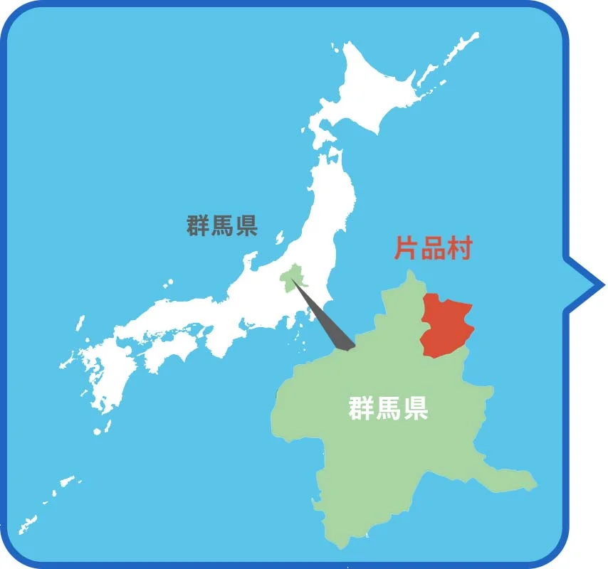群馬県の位置が分かる地図