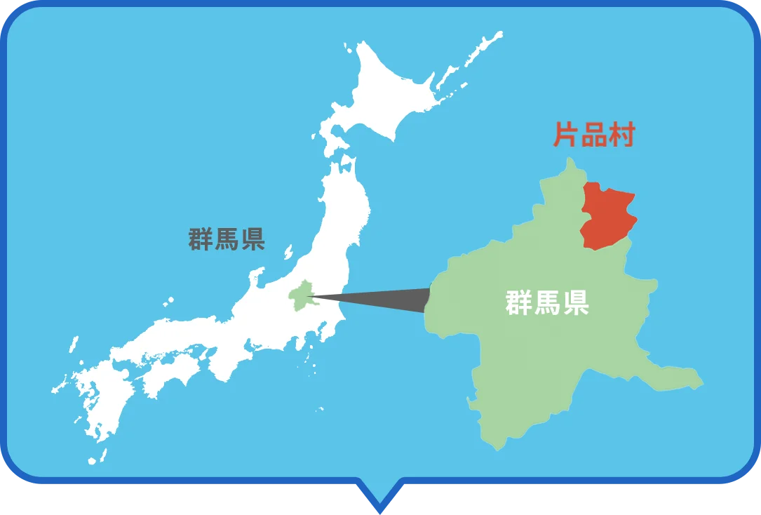 群馬県の位置が分かる地図