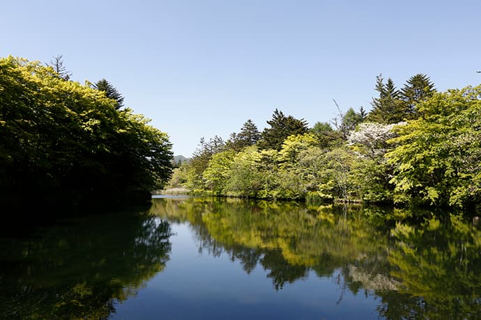避暑地“軽井沢”で涼夏を満喫！“サイプレス ラウンジコンサート”毎日開催!! - 画像4