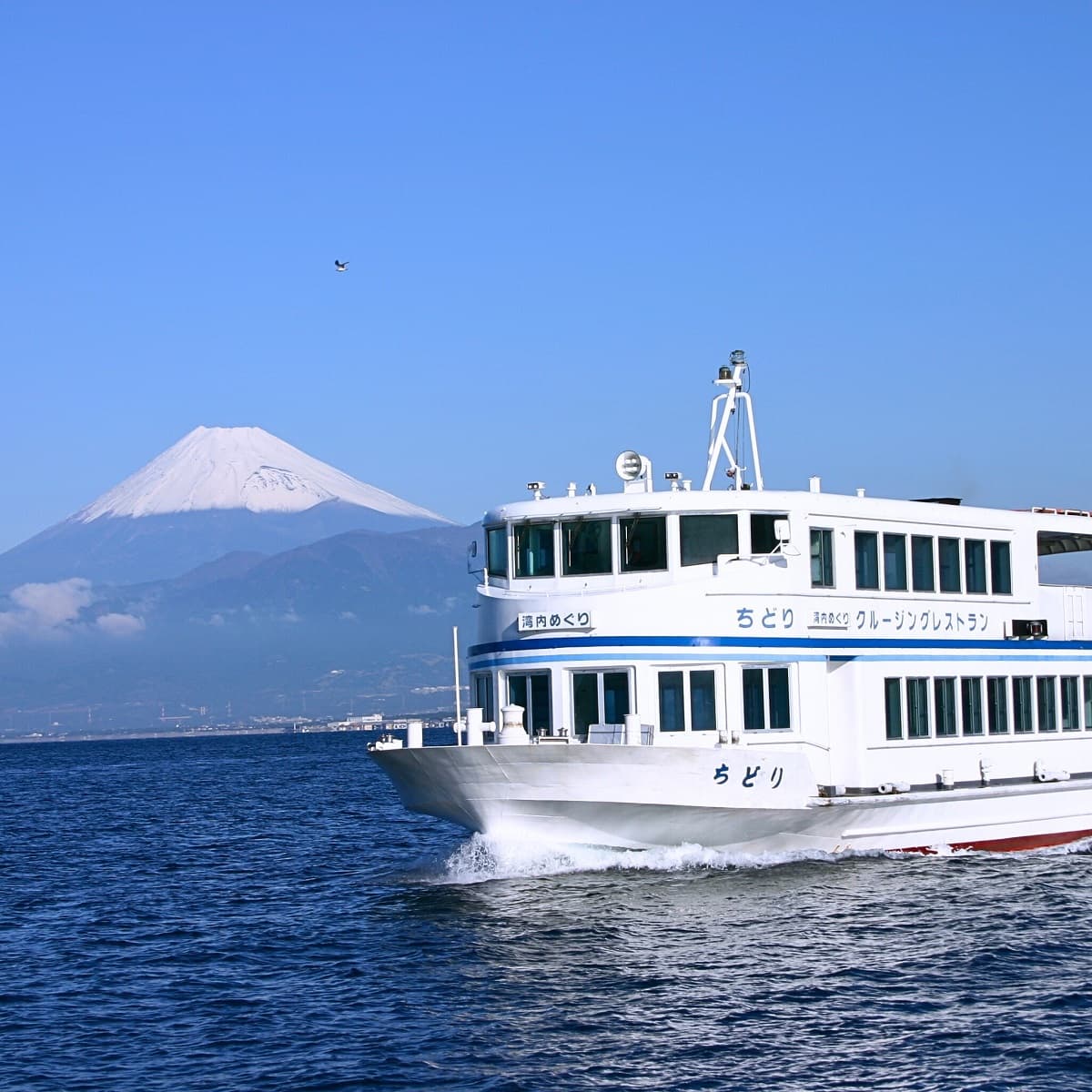 1日で「クルージング」と「手ぶらで海水浴」の2つを楽しめる！静岡・大瀬海水浴場で遊べる「手ぶらで海水浴プラン」予約受付スタート！ - 画像3