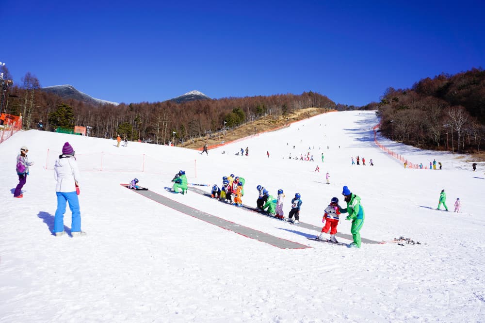 スキーヤー専用のゲレンデでお子様も安心スキーデビュー！富士見高原スキースクール 【常設】 （長野県・富士見高原スキー場）| スキー・スノーボードのスクール検索＆レッスン予約はSTeach