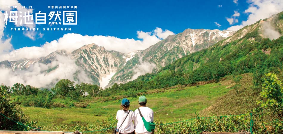 長野県・栂池マウンテンリゾートがグリーンシーズン営業中。北アルプスの絶景と高山植物を満喫