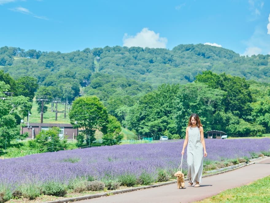 【群馬県】見渡す限りラベンダー！たんばら5万株の花の香り