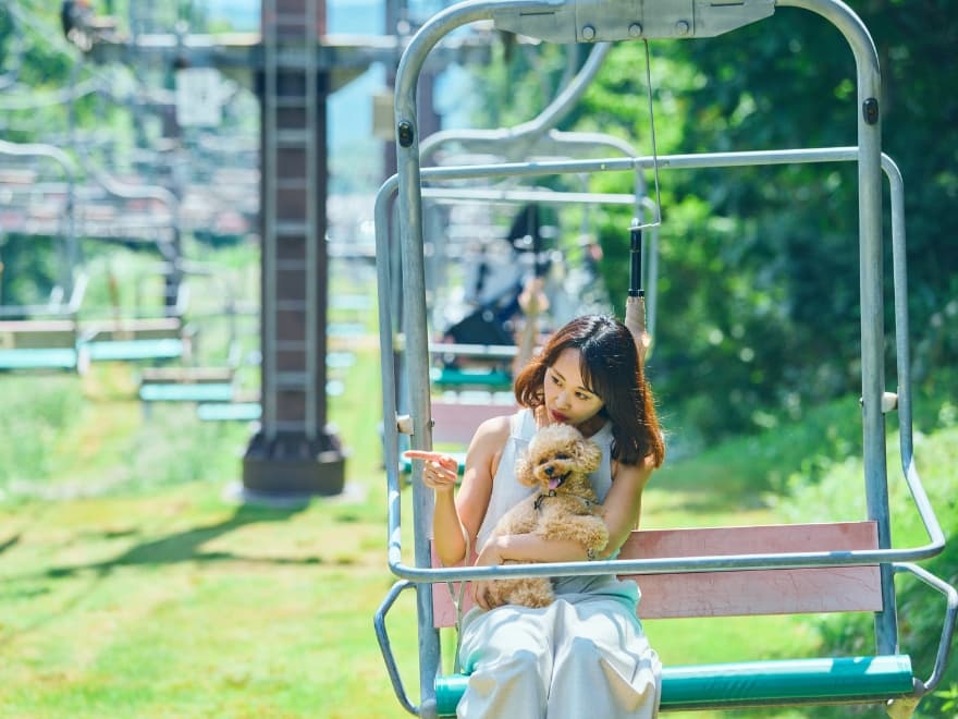 【群馬県】見渡す限りラベンダー！たんばら5万株の花の香り - 画像2