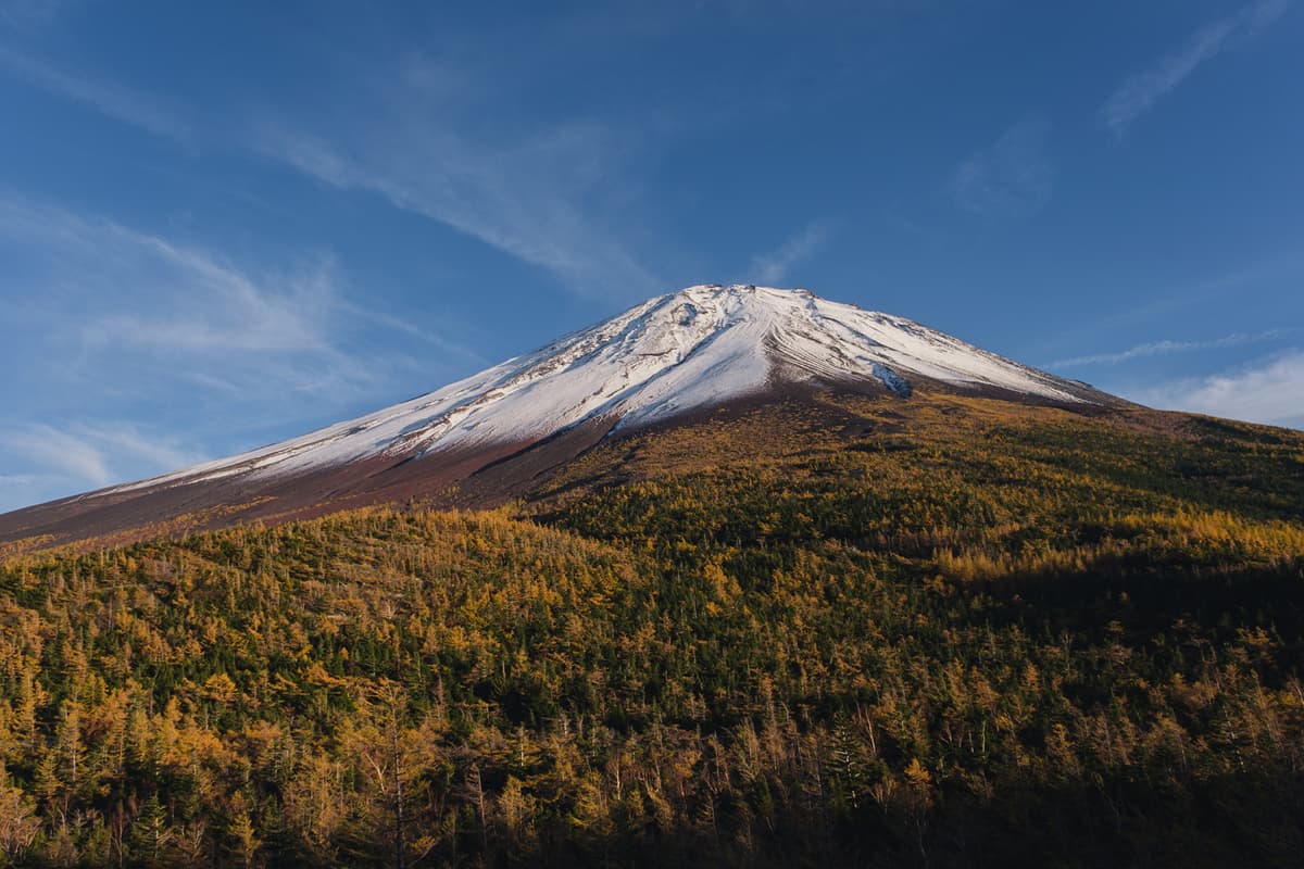 富士山を“下る”秋のトレッキングツアー。山頂を目指さず紅葉と信仰の道を歩く