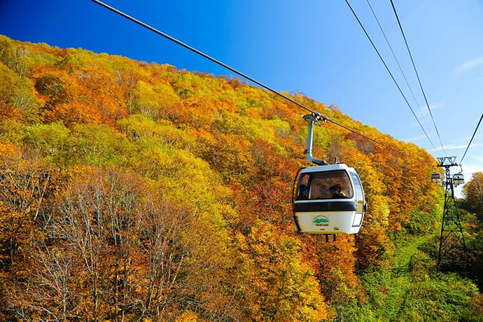 世界有数の山岳観光リゾートHAKUBA VALLEY　 八方尾根・白馬岩岳・つがいけ高原、紅葉見頃時期のご案内