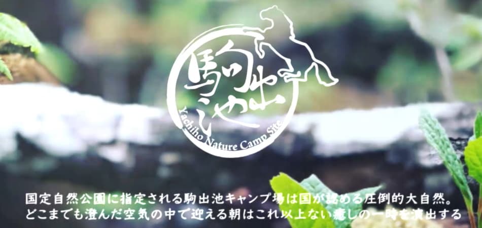 日本一の白樺林と湖畔の絶景。八ヶ岳「駒出池キャンプ場」で自然を満喫