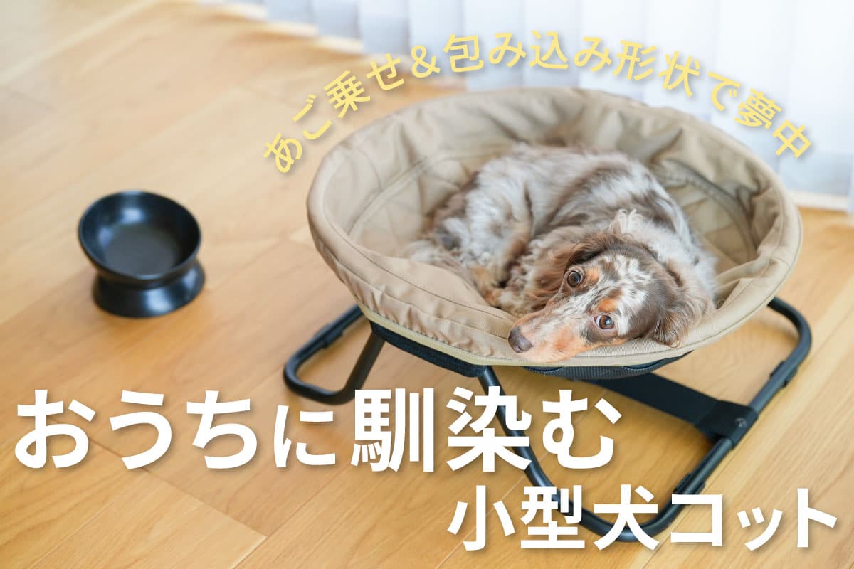 愛犬の“特等席”を手軽に。QUICKCAMPから折り畳み式ドッグコット登場