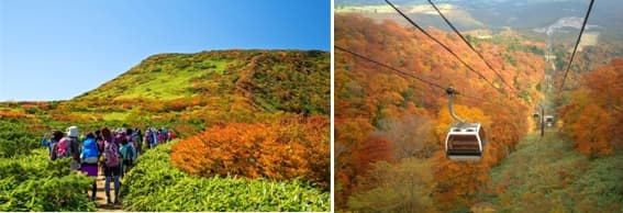 10/1よりマウントジーンズ那須では秋営業がスタート～深紅に染まる那須高原の紅葉～