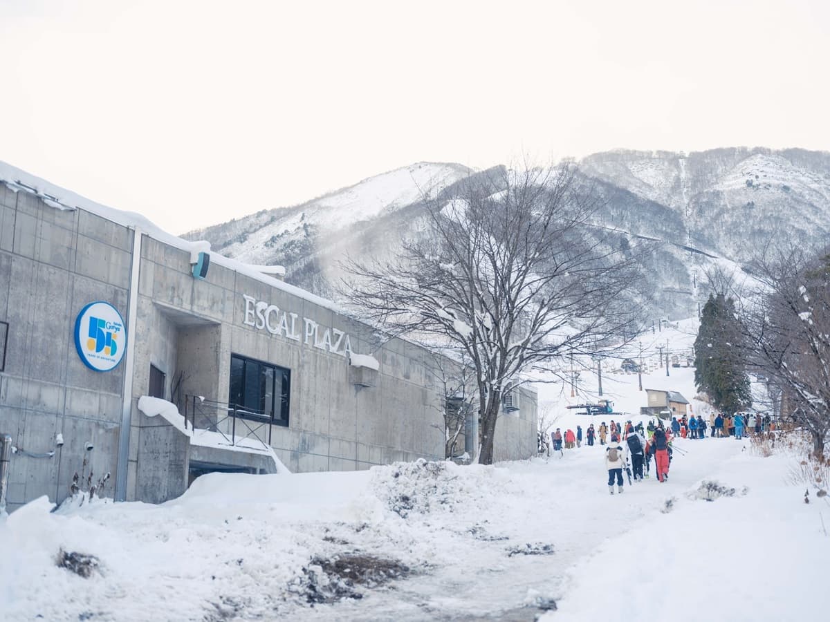 スキー場・エイブル白馬五竜（長野県）、山頂レストランやベースセンターを大幅改善し全館フルオープン！