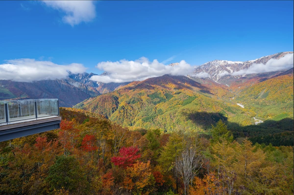 白馬岩岳マウンテンリゾート（長野県）、三段紅葉シーズン到来にあわせナイトイベントを11月8日に開催