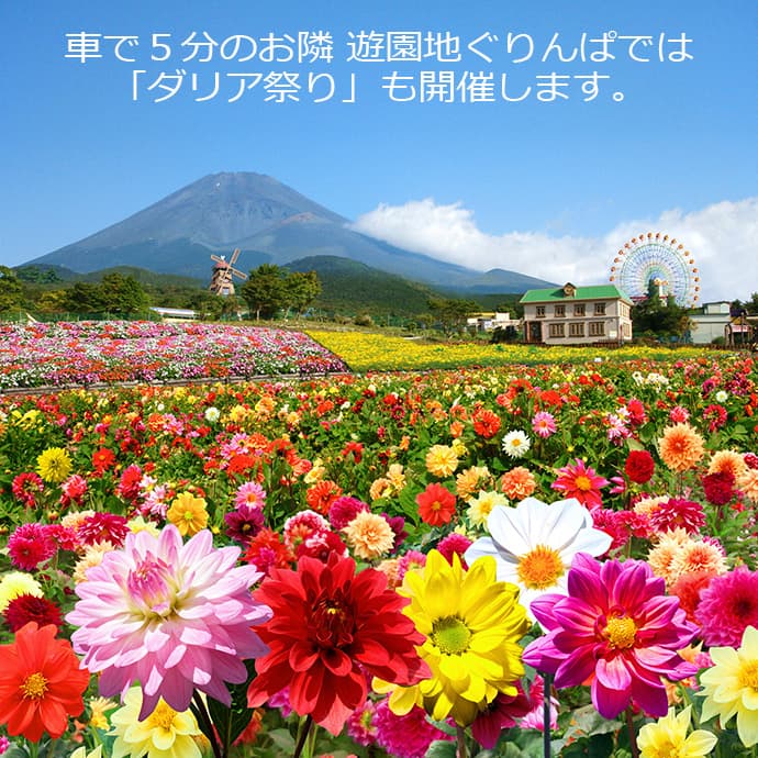 富士山の自然と花々を楽しむフラワーパーク「富士 花めぐりの里」 7/22(土)オープン - 画像4