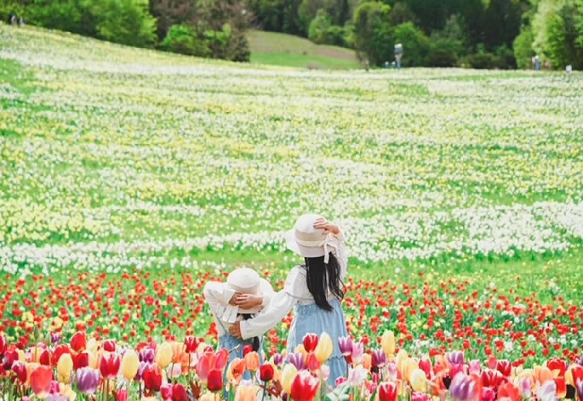 100万株のスイセンが咲き誇る「ノルンみなかみフラワーガーデン」が開園。愛犬との空中散歩や宝石探しが楽しめる「山遊び」の新定番
