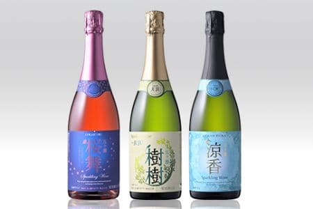 宮崎県五ヶ瀬町が“五ヶ瀬ハイランドスキー場”の復活を目的としたクラウドファンディングプロジェクトへの寄附受付を開始 - 画像4