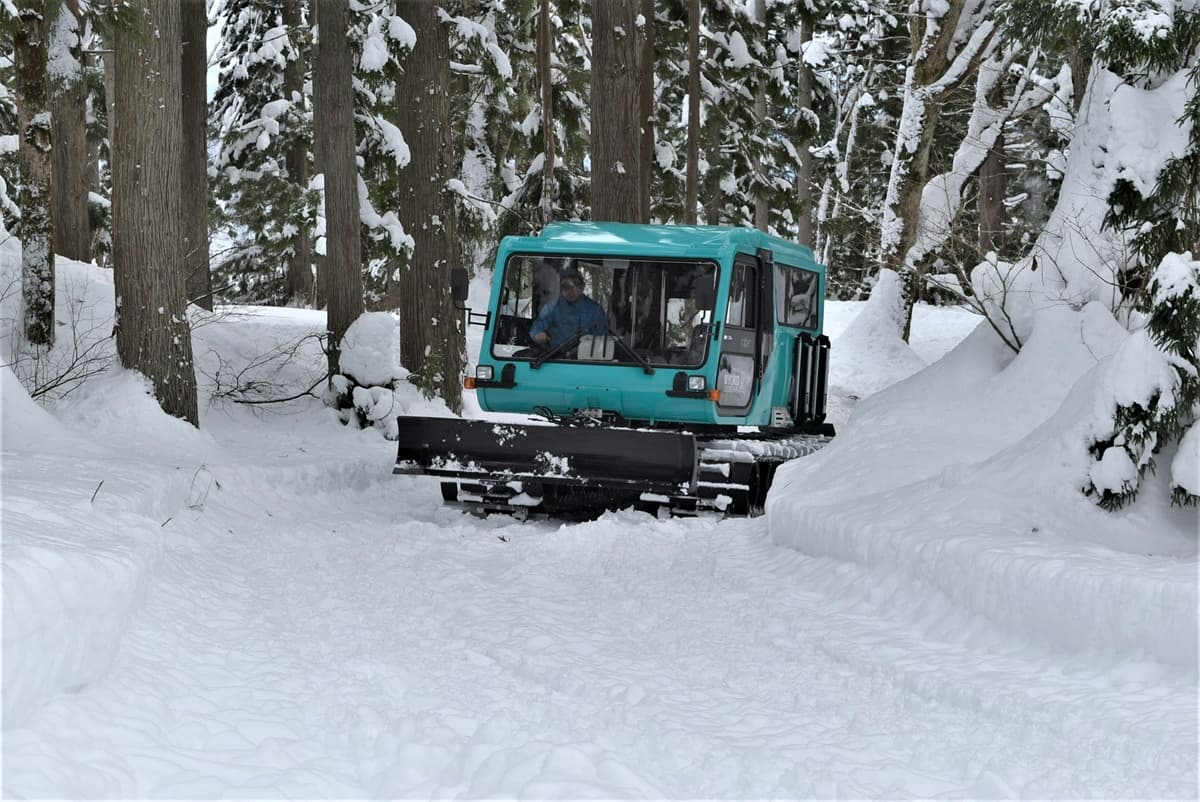 新潟・妙高杉ノ原スキー場、この冬がもっと特別な思い出になる3つの体験プログラムを開催中