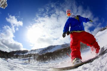 ハチ・ハチ北営業中