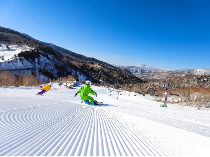 2025-2026シーズン