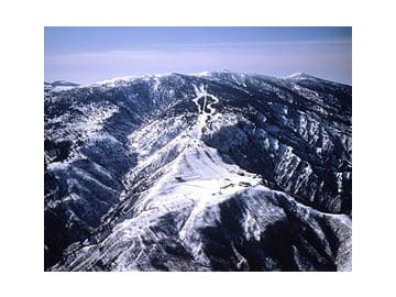 2025-2026シーズン