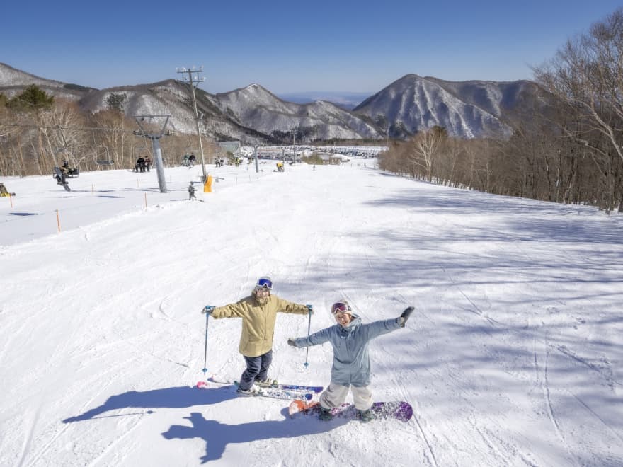 本日の営業情報