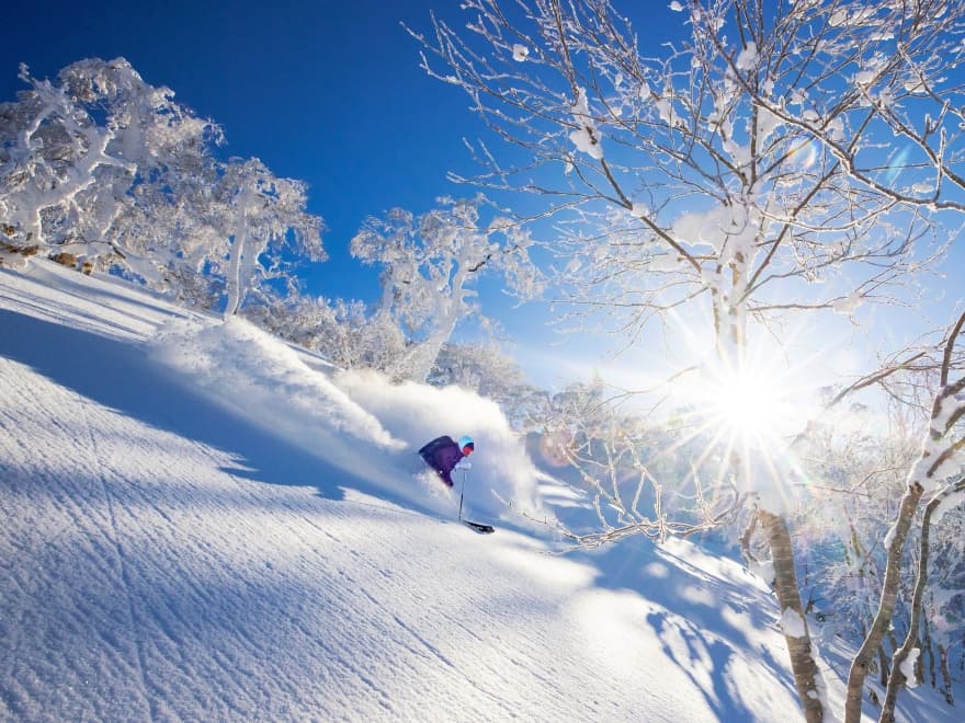 滑走可能コース順次拡大中！