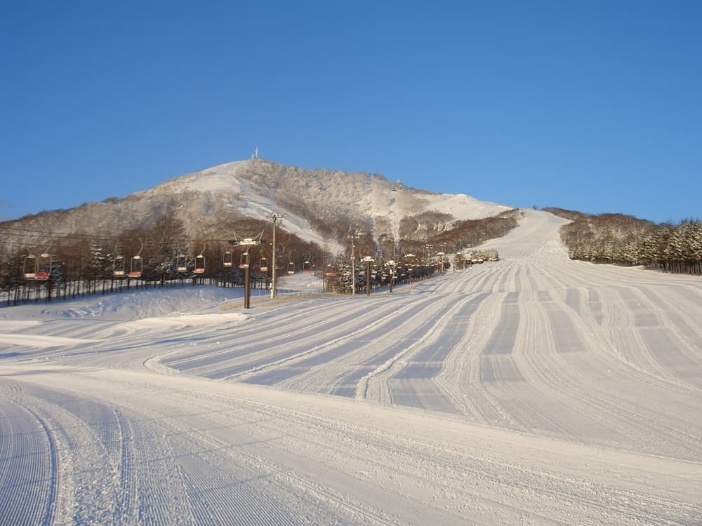 12月13日、14日プレオープン!