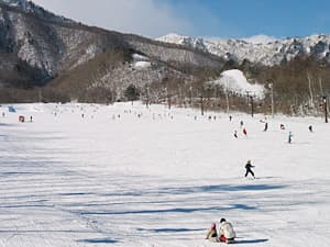 12月12日より営業開始しました。