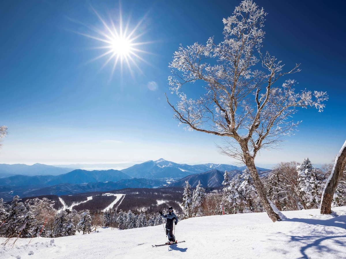 ゴンドラ・第１・第２クワッドリフト　最長3,500ｍ滑走可能！