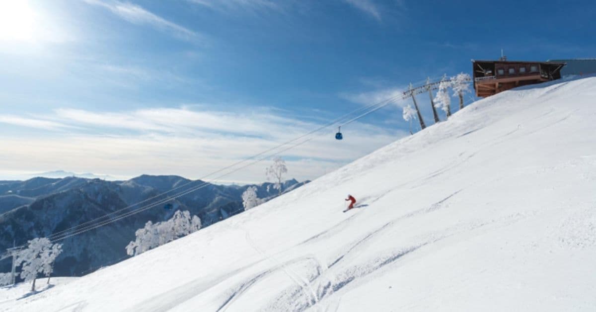 苗場スキー場で叶える極上のスキー・スノボ旅！ホテル直結・首都圏からアクセス抜群のビッグリゾート