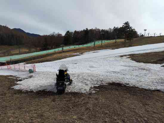 ワンダーランドかたしなレビューキャンペーン