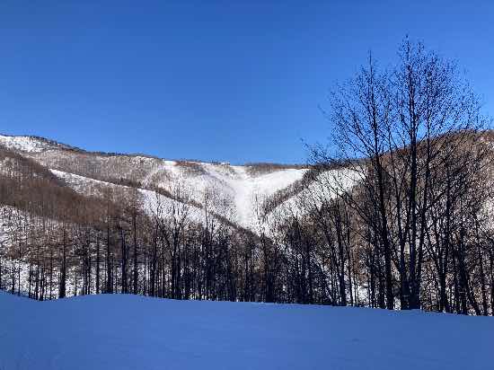 絶景が楽しめる超ロングコース