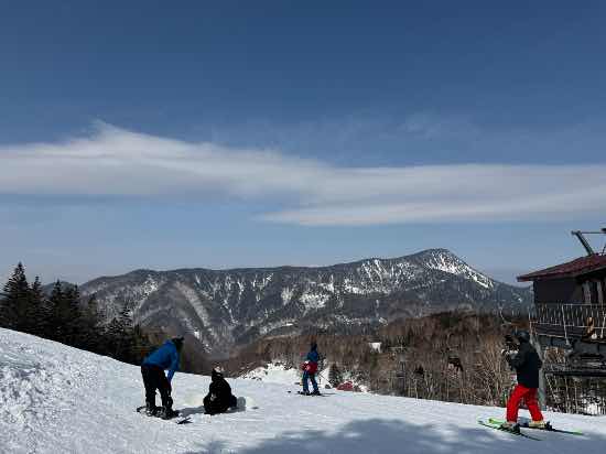ワンダーランドかたしなレビューキャンペーン