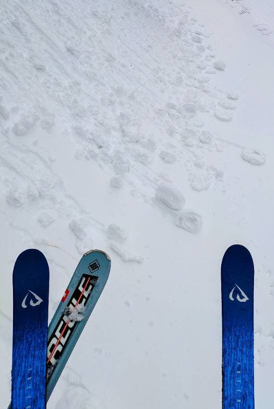 ワンダーランドかたしなレビューキャンペーン