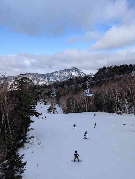 ワンダーランドかたしなレビューキャンペーン