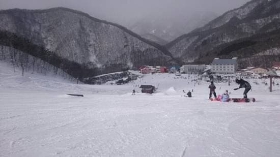 ワンダーランドかたしなレビューキャンペーン