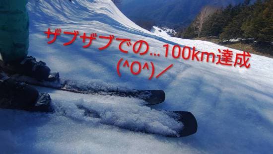 ワンダーランドかたしなレビューキャンペーン