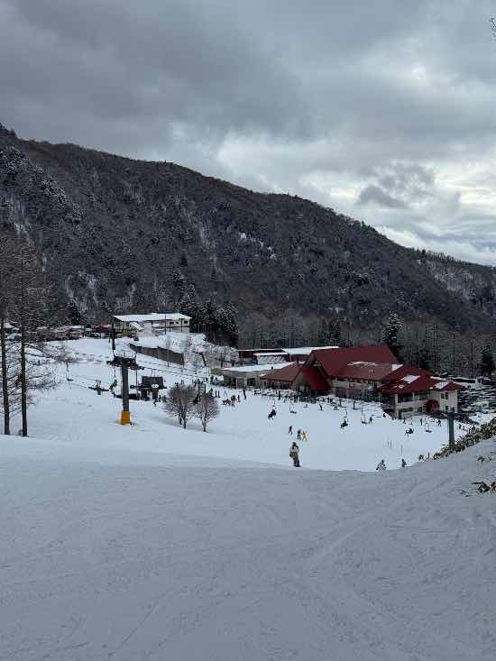 ワンダーランドかたしなレビューキャンペーン