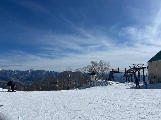 ワンダーランドかたしなレビューキャンペーン