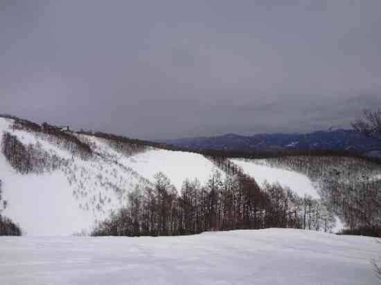 アイスバーンで条件が悪い日でした～ワンダーランドかたしなレビューキャンペーン～