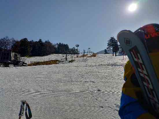 ワンダーランドかたしな