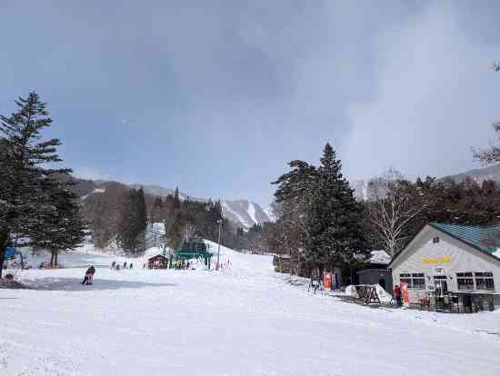 ワンダーランドかたしなレビューキャンペーン