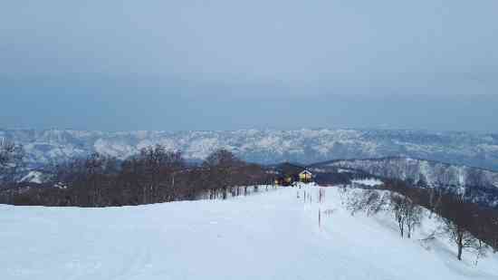 まだまだ楽しめますよ。