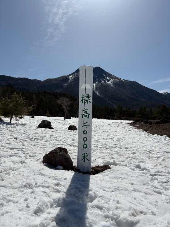 ワンダーランドかたしなレビューキャンペーン
