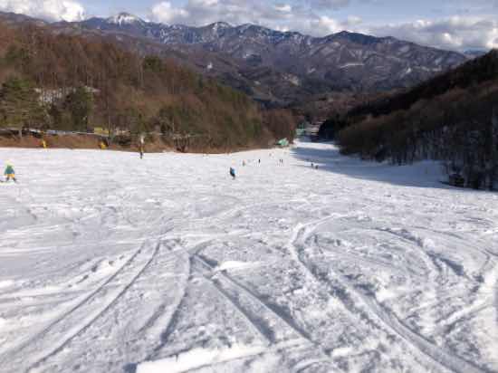 ［ワンダーランドかたしなレビューキャンペーン］