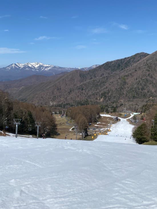 ワンダーランドかたしなレビューキャンペーン