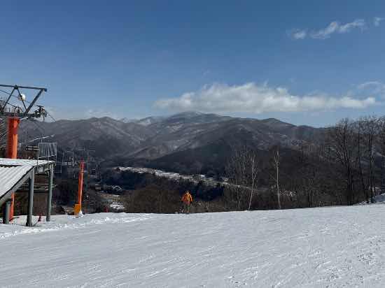 ワンダーランドかたしなレビューキャンペーン