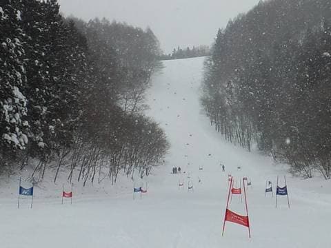 ワンダーランドかたしなレビューキャンペーン