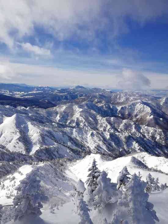 ワンダーランドかたしなレビューキャンペーン