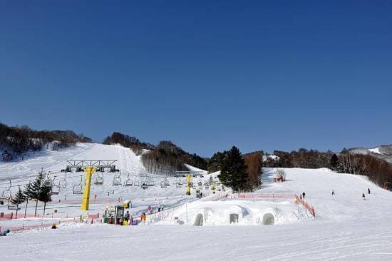 ワンダーランドかたしなレビューキャンペーン