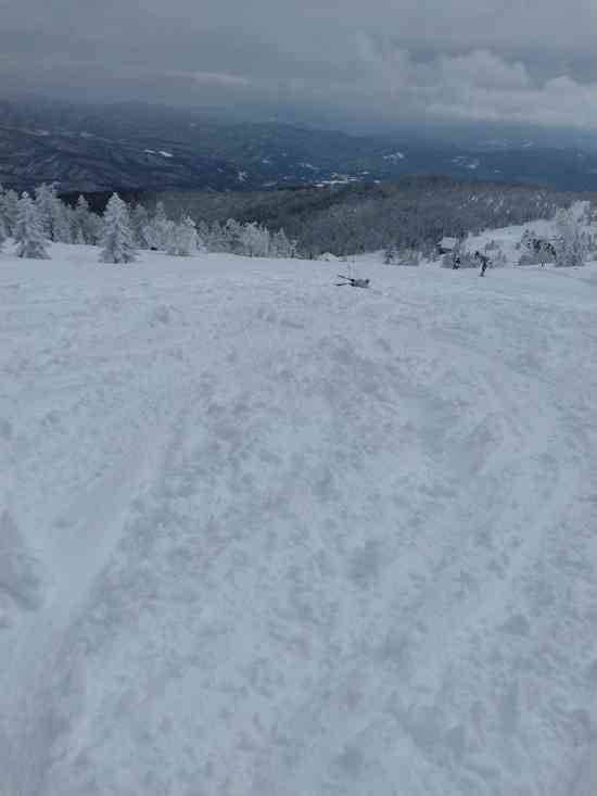 ワンダーランドかたしなレビューキャンペーン
