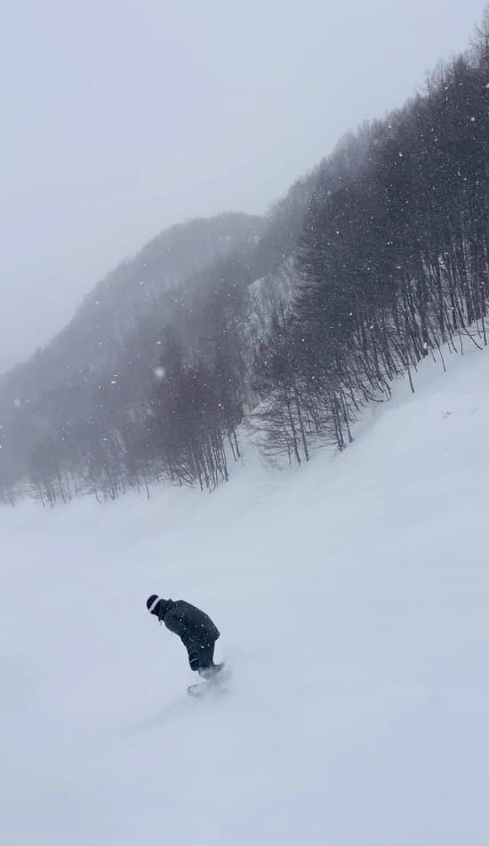 ワンダーランドかたしなレビューキャンペーン